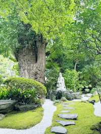 【神奈川県　鎌倉市の禅寺　報国寺で美しい苔の庭と竹林を歩みお抹茶を一服】 
