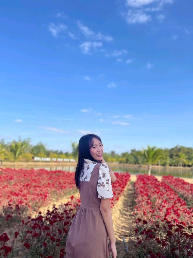 เที่ยวคาเฟ่เลิงนกทากัน