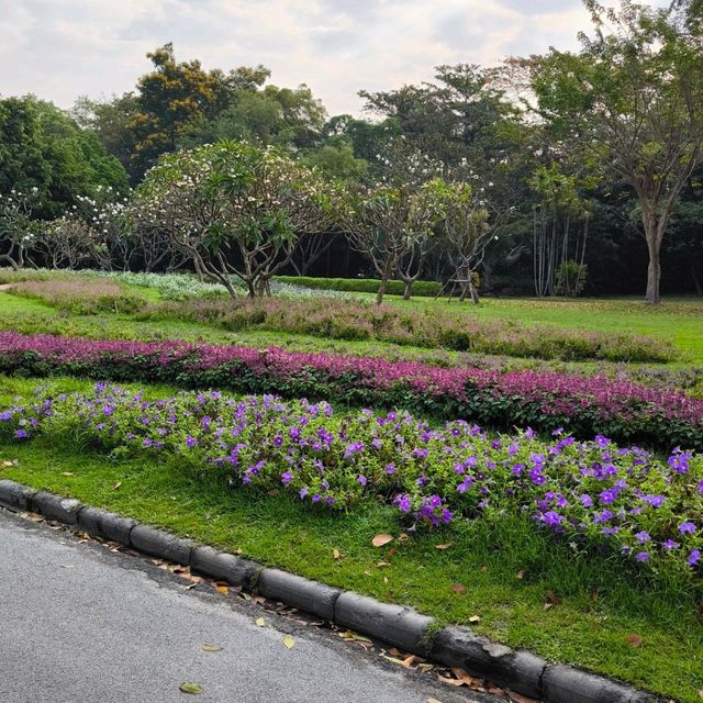 สวนหลวง ร.9