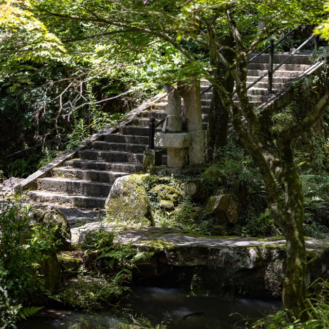 曹溪寺🌳清幽寧靜 