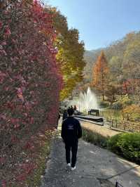 춘천 드라마 명소에서 힐링💕