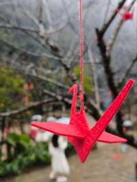 Cat Cat Village: A traditional Hmong village in the heart of Sapa