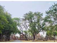 แพลนเที่ยวอุทยานประวัติศาสตร์สุโขทัย