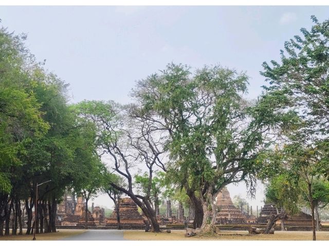แพลนเที่ยวอุทยานประวัติศาสตร์สุโขทัย