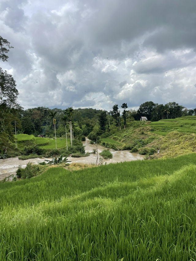 Cooling Off at Wee Kacura – A Waterfall Escape in the Rice Fields 💦🌿