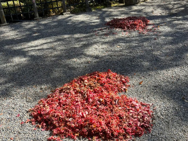 【高山　櫻山八幡宮】