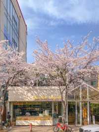 Best Spring Cafés in Seoul🌸 ☕️