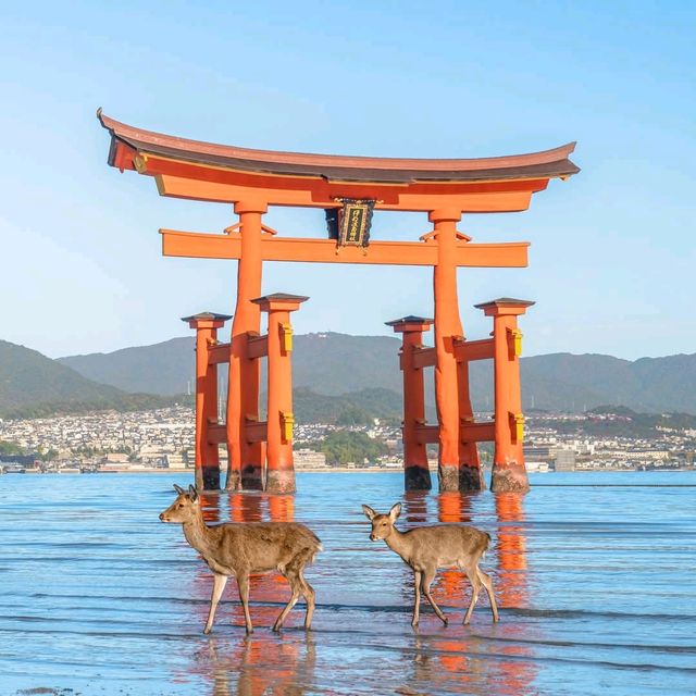 Miyajima Island ,Hiroshima
