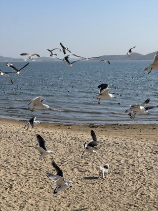 A Day Trip to Ganghwa Island: Where Mysterious Nature and History Coexist