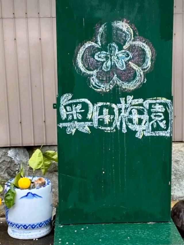 徳島県南部の梅の名所