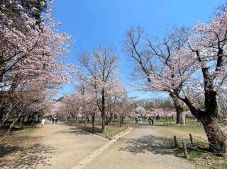 Maruyama Park