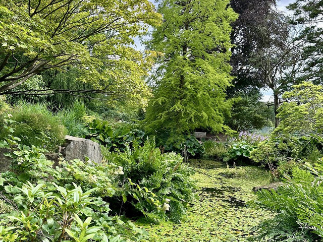 A World of Wonder - Birmingham Botanical Gardens