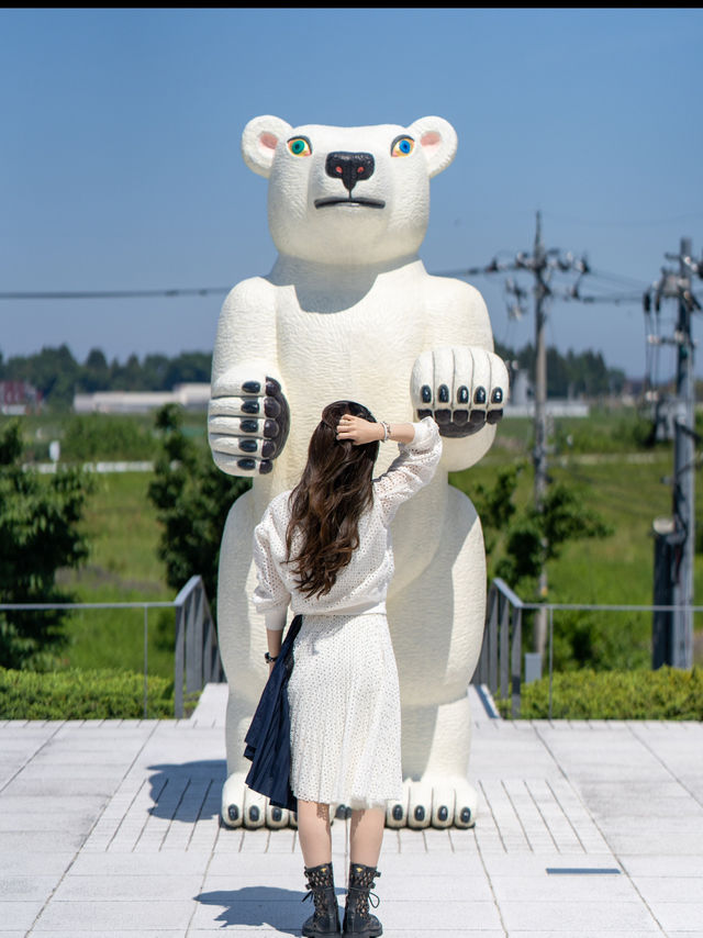 クマ🐻🐻‍❄️を見せると割引に!!『富山県美術館』