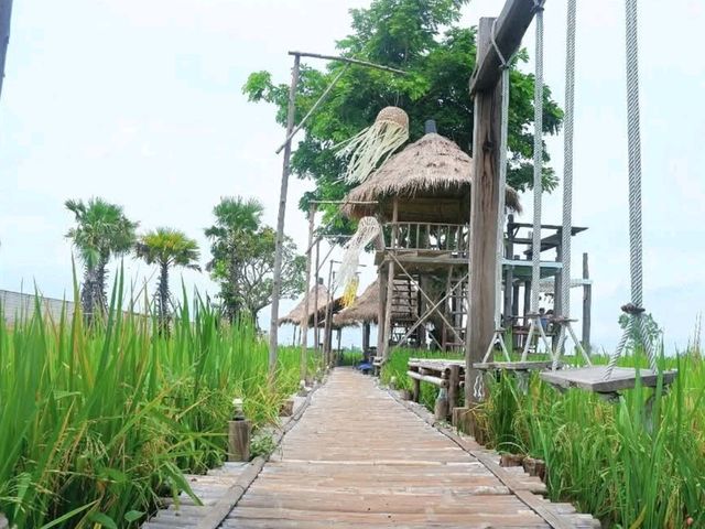 คาเฟ่กลางทุ่งข้าว 🌾..จ.พิษณุโลก 