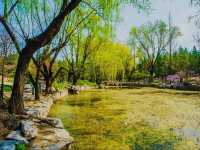 Serenity in the City - Quancheng Park, Jinan