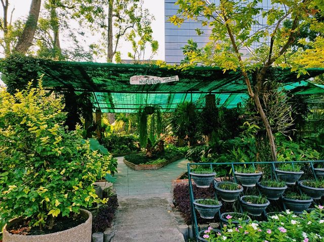 泰國曼谷市中心城市綠洲湖泊公園免稅店一日遊行程，適合休閒逛街打卡拍照📸