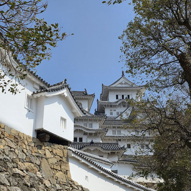 姫路城（兵庫）