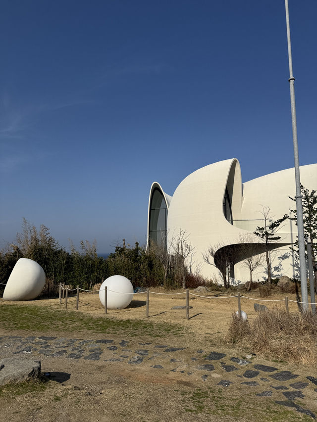 울릉도 드라이브, 바다와 카페 울라, 코스모스 리조트까지 즐기다 울릉도 드라이브, 바다와 카페 울라, 코스모스 리조트까지 즐기다