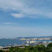 天城展望台•櫻花與海港美景