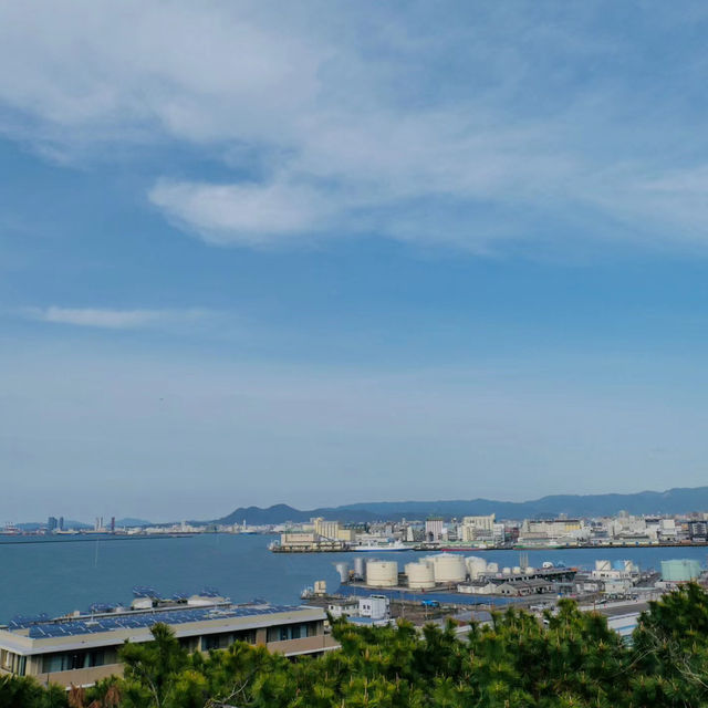 天城展望台•櫻花與海港美景