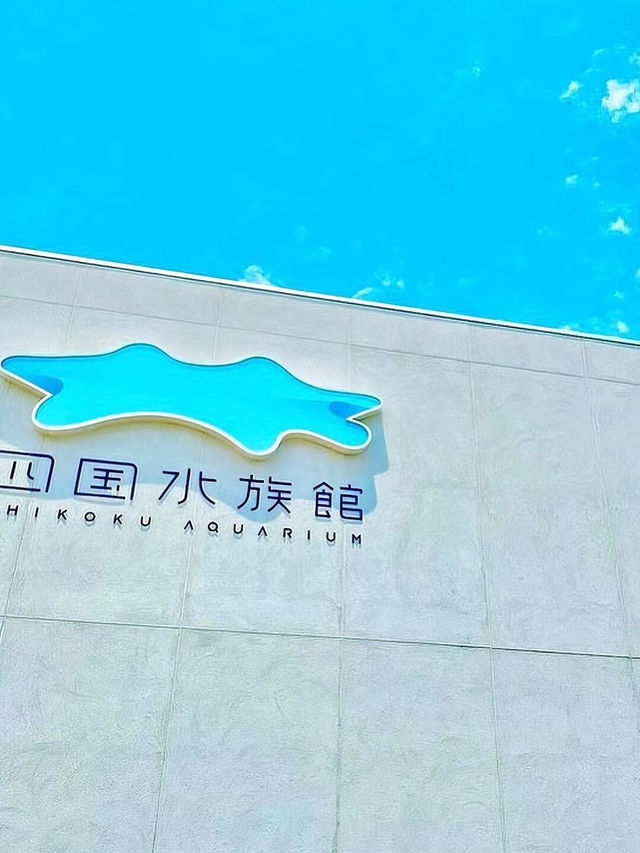 人生で出会った最高の水族館🪸私のTOP1！