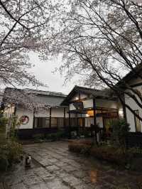 櫻櫻溫泉旅館