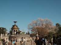 【名古屋】春のお花見定番スポットの鶴舞公園へ行こう！