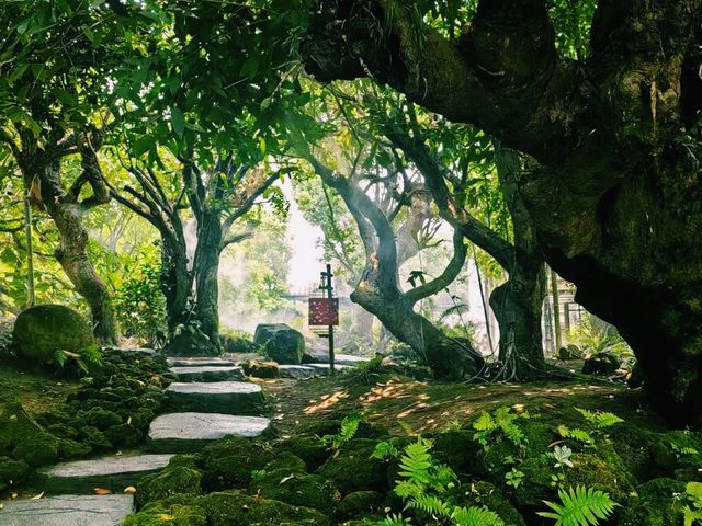 泰國清邁著名公園景點：Dantewada 天使之地瀑布公園，適合打卡拍照📸親子遊