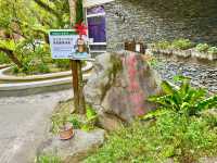 金崙小旅行