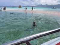 Komodo National Park, Indonesia – Dragons, Reefs, and Responsible Exploration