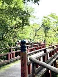 【石川×那谷寺】お化けのような怪奇石