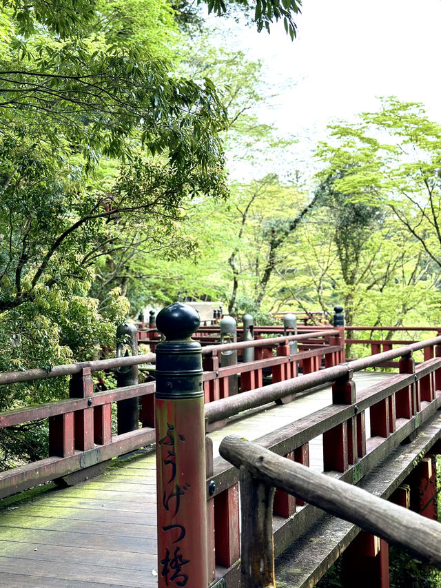 【石川×那谷寺】お化けのような怪奇石