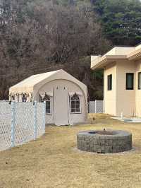 2,000평 천연 잔디밭과 감성적인 풀빌라의 만남🤍