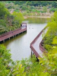 珠海香山湖公園｜全家半日遊首選🌳  