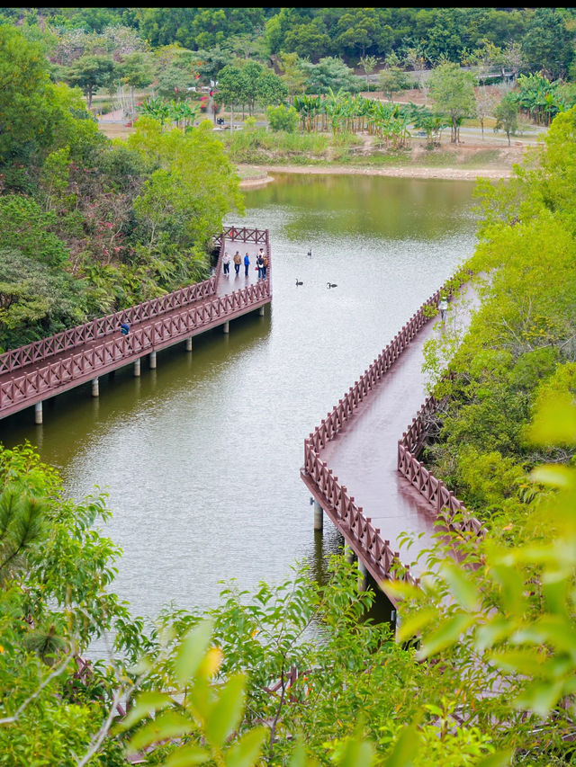 珠海香山湖公園｜全家半日遊首選🌳  