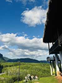 ไร่ชา 1000 ไมล์ – แวะพักชิมชา กาแฟ สไตล์ชิลๆ