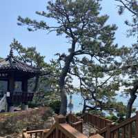 短短幾分鐘，飽覽山海交織的釜山海岸線
