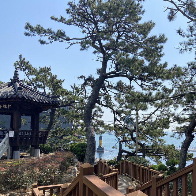 短短幾分鐘，飽覽山海交織的釜山海岸線