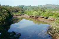 An Endless Number of Fish Ponds in Yuen Long 
