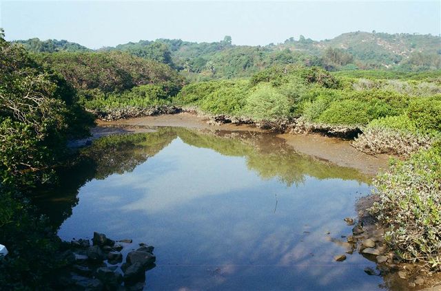An Endless Number of Fish Ponds in Yuen Long 