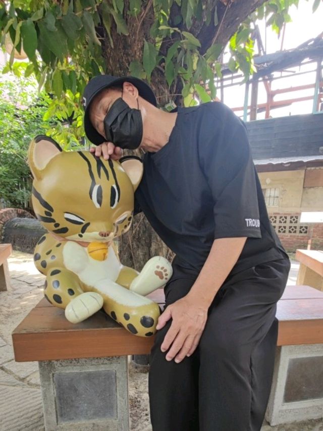 怎麼大家都睡著了？#沉睡森林-嘉義市東區
