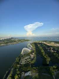 Touch the Sky: SkyPark Observation Deck
