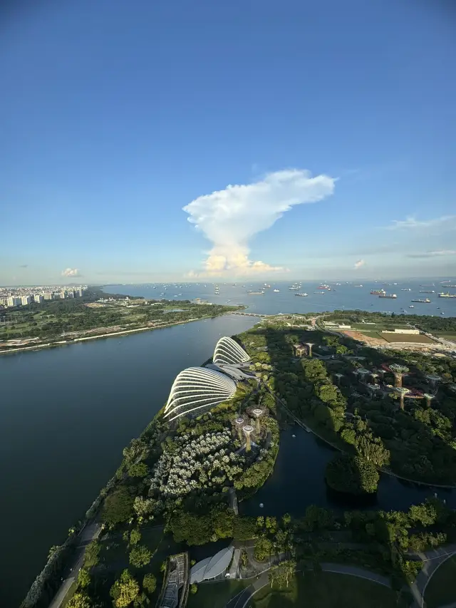 Touch the Sky: SkyPark Observation Deck