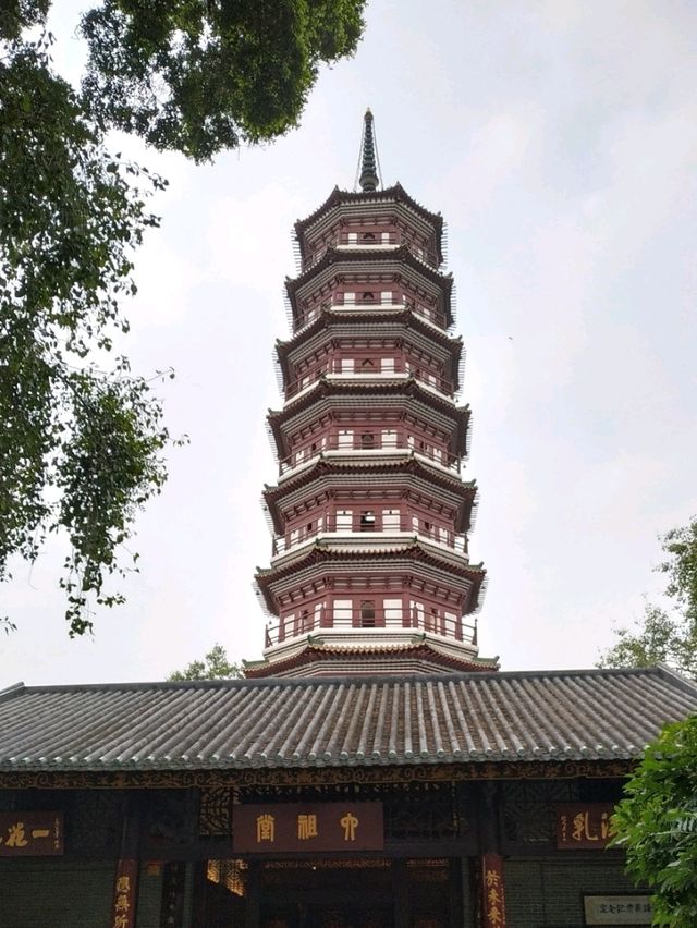 도심 속 천년 고찰, 광효사