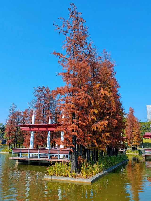 📍人生建議 一定要去佛山千燈湖
