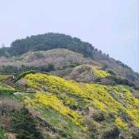 ORYUKDO SKY WALK