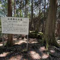 【住塚山・国見山】⛰️   関西百名山