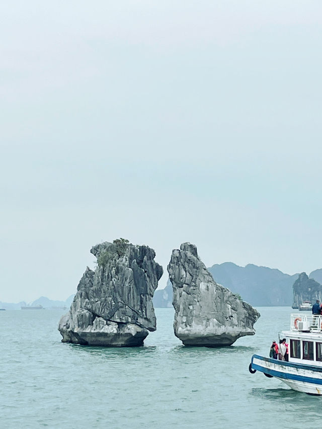 【ベトナム🇻🇳】 絶景ツアー ハロン湾クルーズ