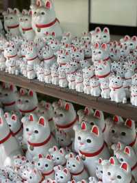【東京】招き猫の発祥地  大小様々な猫ちゃんがぎっしり！