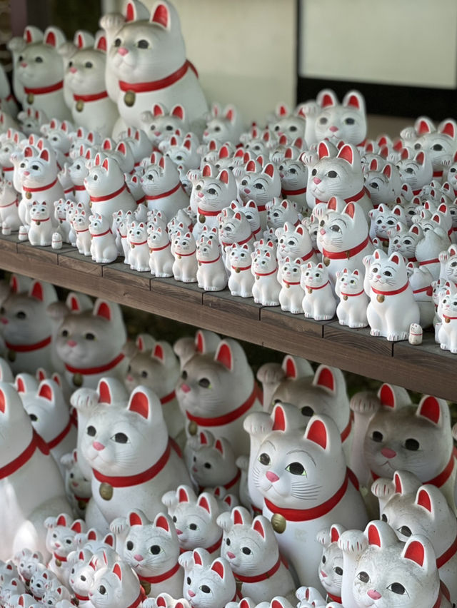 【東京】招き猫の発祥地  大小様々な猫ちゃんがぎっしり！